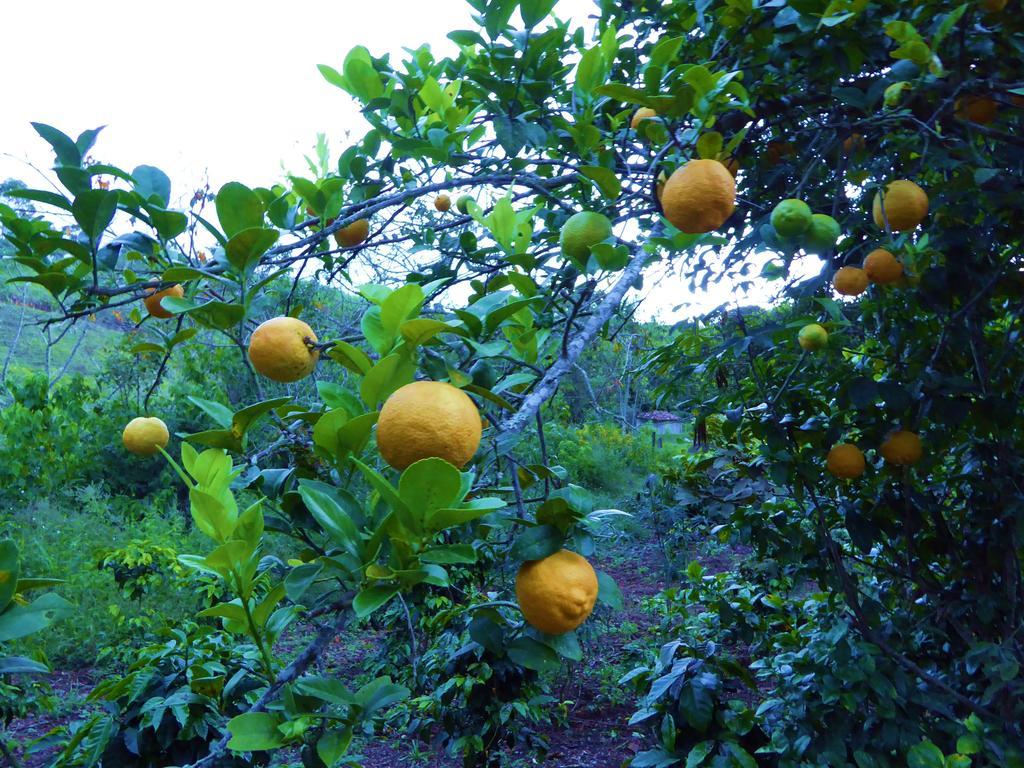 Finca El Cielo San Agustín Εξωτερικό φωτογραφία