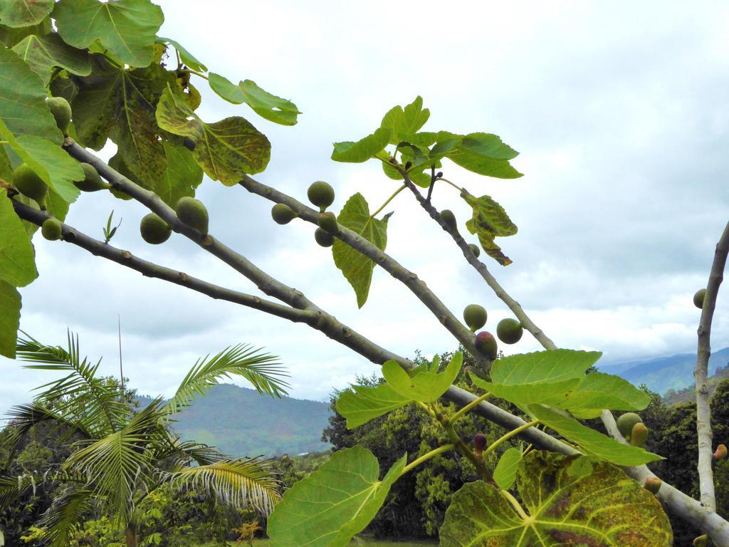 Finca El Cielo San Agustín Εξωτερικό φωτογραφία